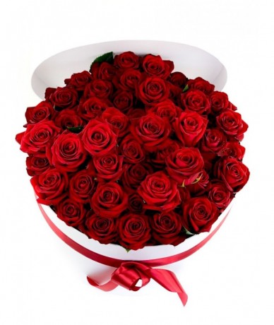 A grand flower box of million roses of beautiful red