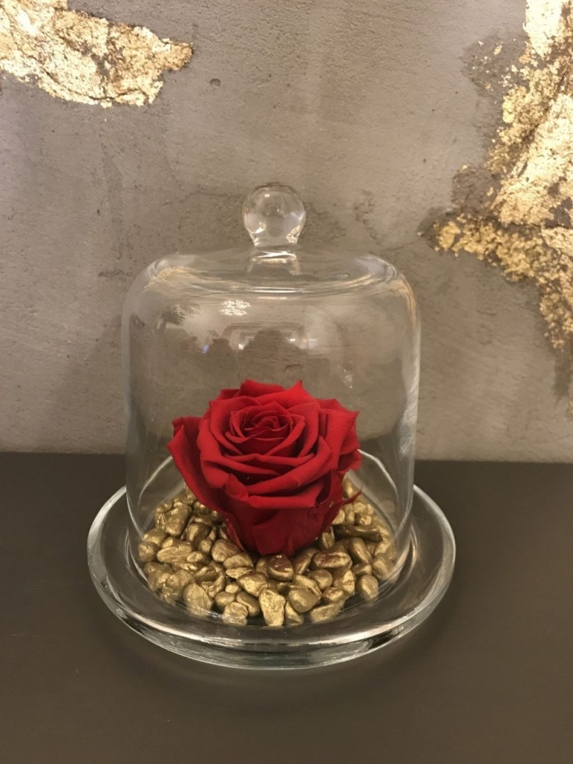 Red rose under an elegant glass dome - 10cm