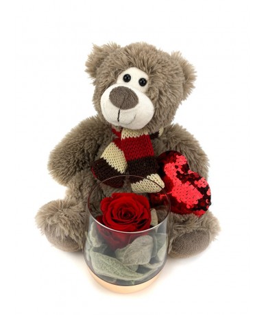 teddy bear with long lasting rose
