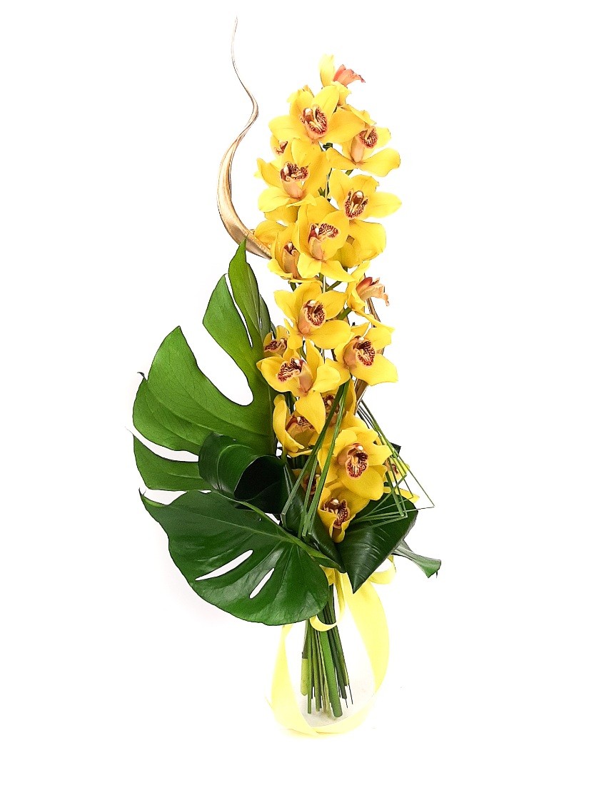 Stem of nicely decorated, splendid cymbidium orchid