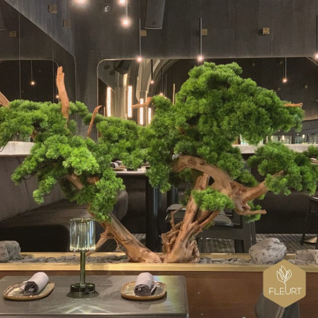 A YAMA Budapest belsőépítészeti nyelvét tekintve egyszerre sugall letisztultságot, magas minőséget, kellő lazaságot és a részletek tökéletes harmóniáját. Ide készítettük el a stílusban passzoló dekort, igazi bonsai fákat alkottunk.
